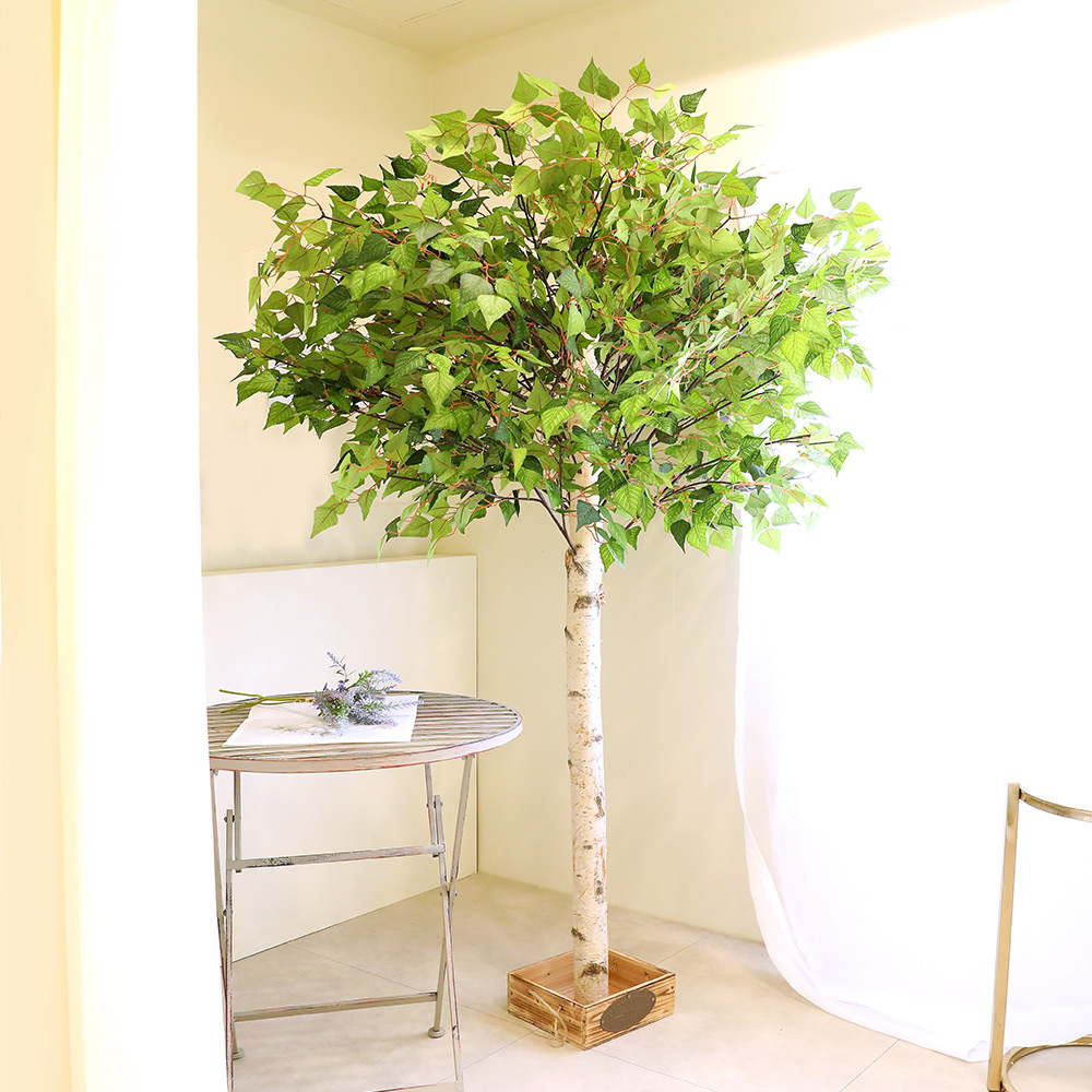 인조나무 조화나무 화분 장식 소원 목대사방형 190cm