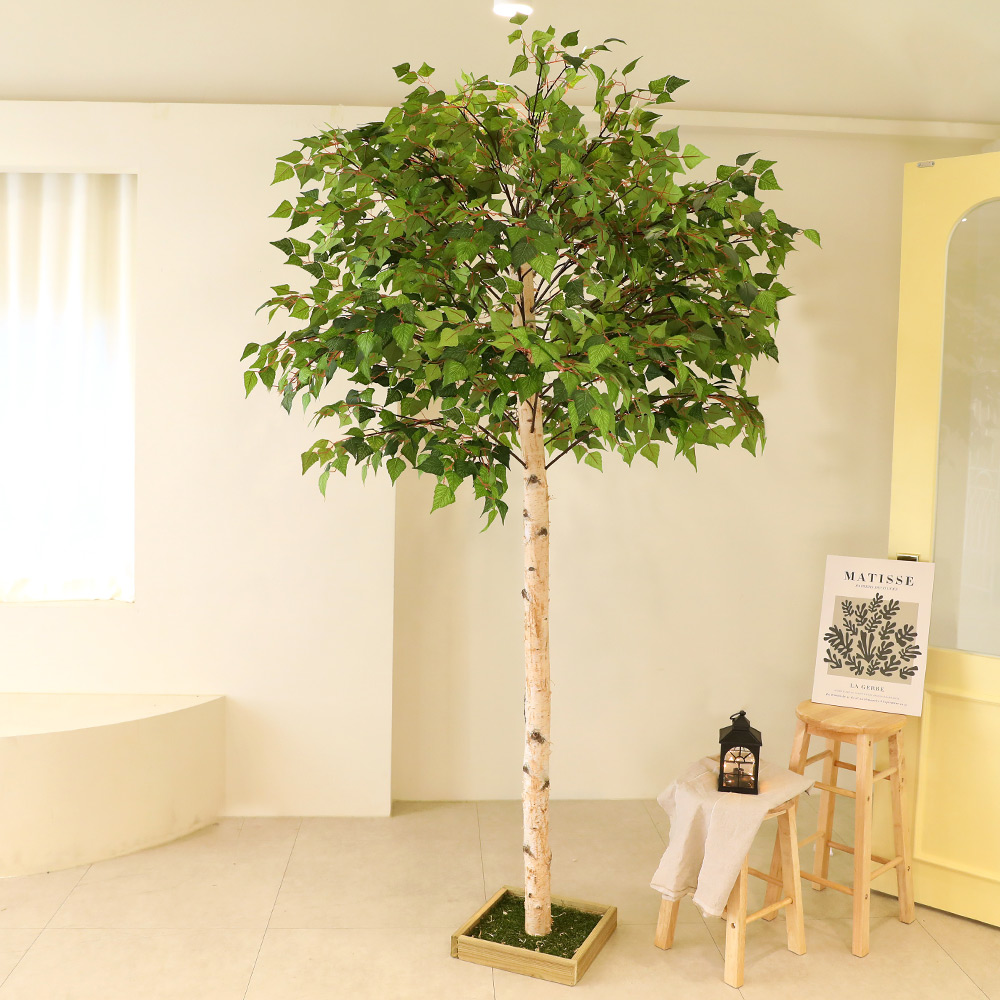 인조나무 조화나무 화분 장식 소원 자작나무 240cm 사방형